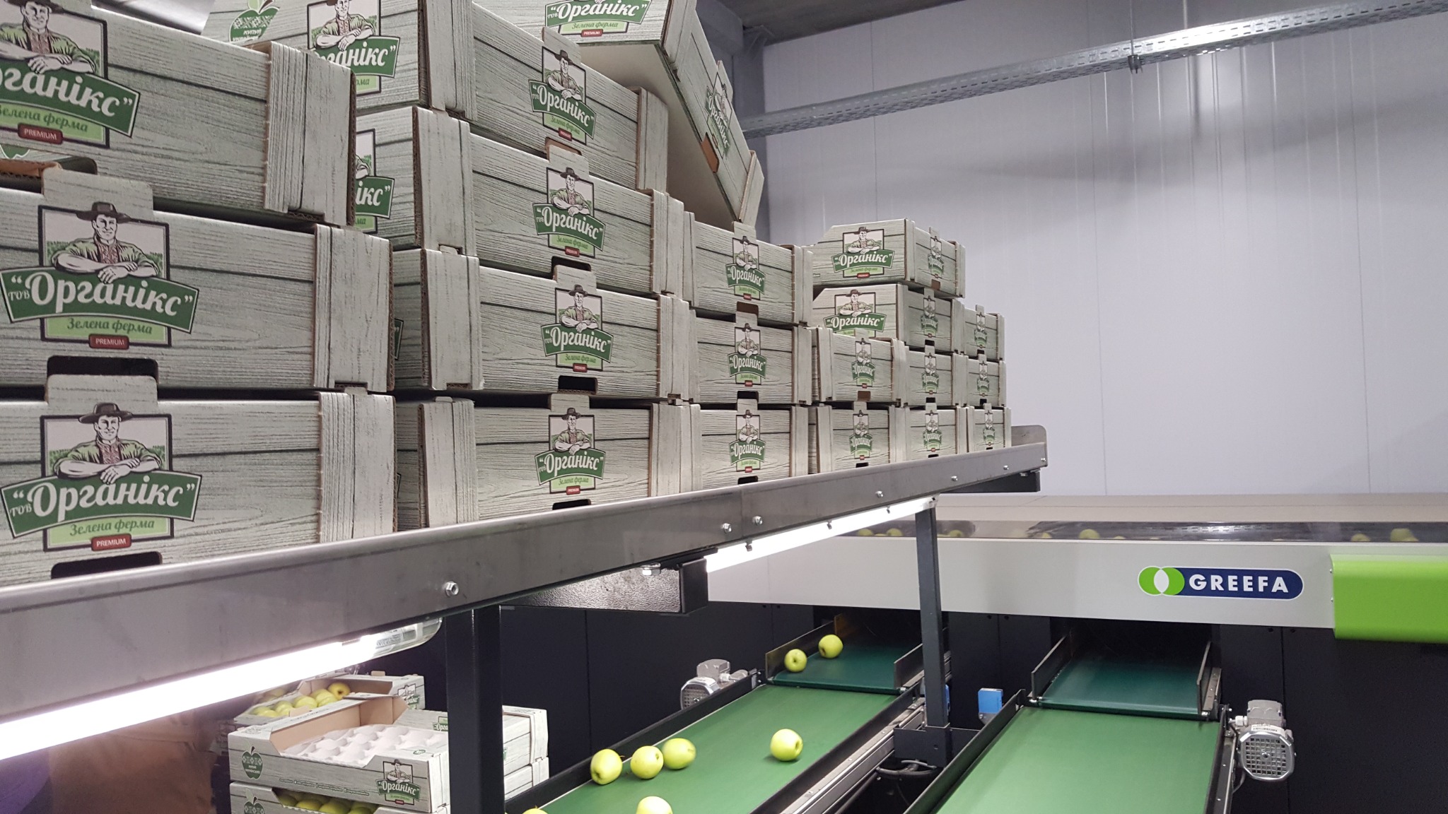 Packed apple cartons and sorting line at Green Farm
