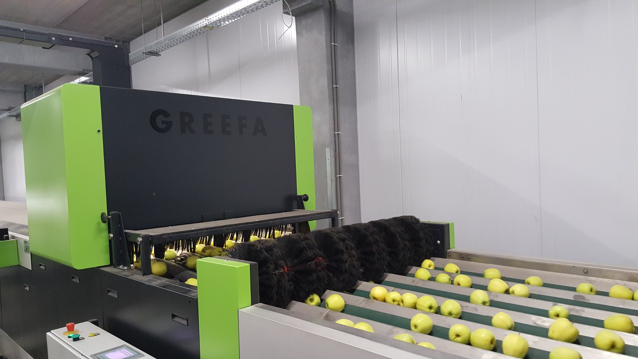 GREEFA apple handling equipment at Green Farm