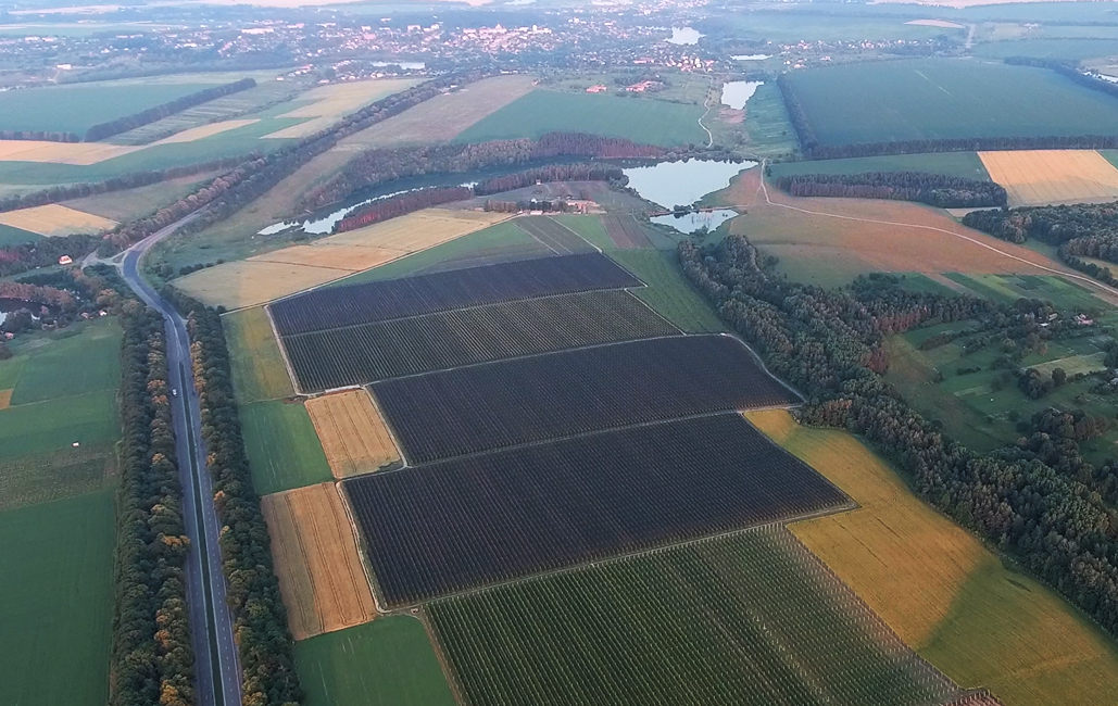 Aerial view of Green Farm intensive apple orchards in Ukraine