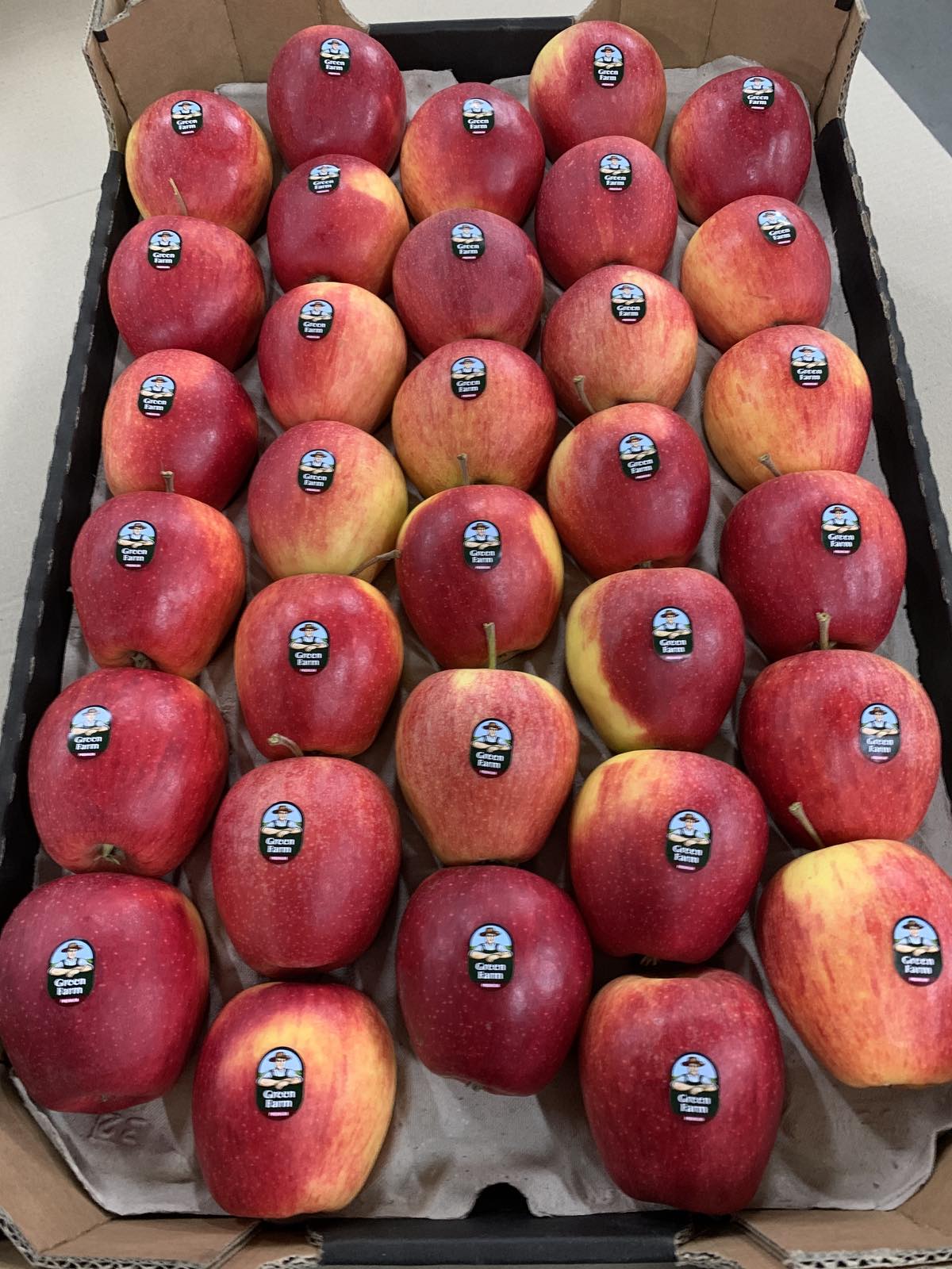 Pinova apple